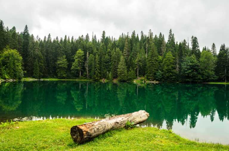 SINJAJEVINA E-BIKE ADVENTURE: EXPLORE THE HIGHLANDS